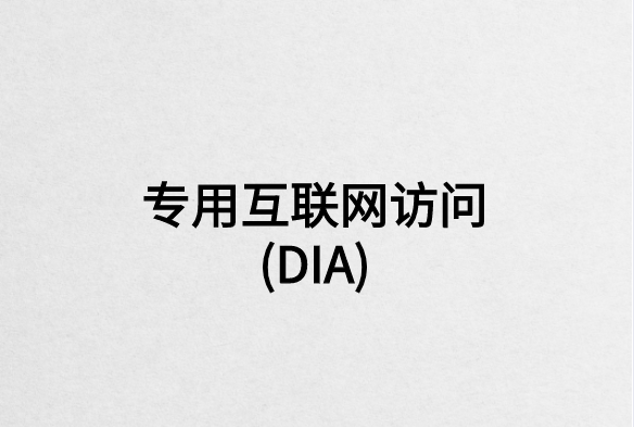 專用互聯網訪問(DIA)