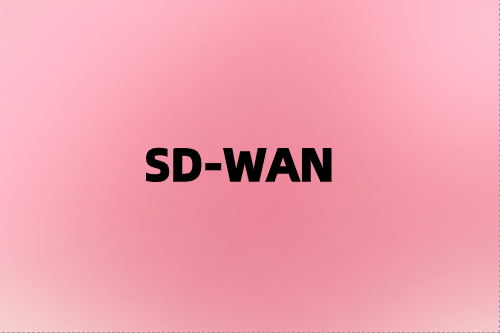 利用SD-WAN網(wǎng)絡彈性增強您的業(yè)務