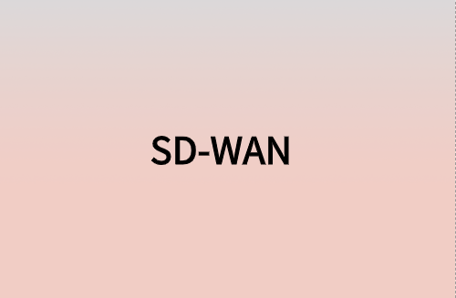 對企業(yè)而言，SD-WAN意味著什么?