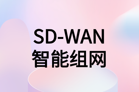 SD-WAN智能組網(wǎng)方案能為企業(yè)解決什么實質(zhì)性問題?